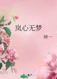 岚心无梦