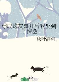 《穿成炮灰哥儿后我娶到了情敌》