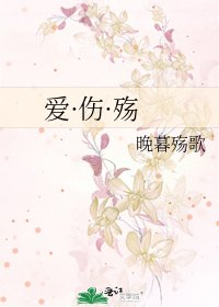 《爱·伤·殇》