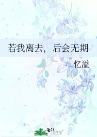 《若我离去,后会无期》