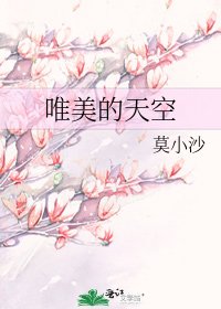 《唯美的天空》