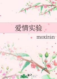 爱情实验