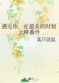 《遇见你,在最美的时刻云峥番外》