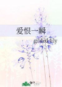 爱恨一瞬