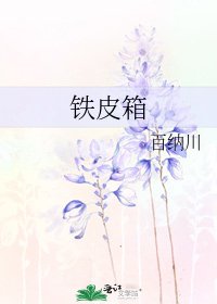 《铁皮箱》