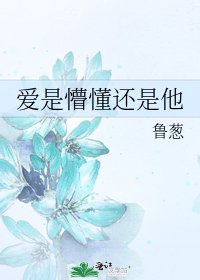 爱是懵懂还是他