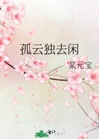 《孤云独去闲》