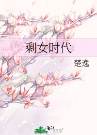 《剩女时代》