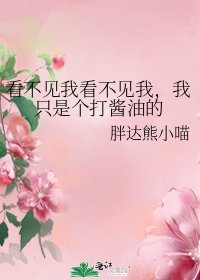 《看不见我看不见我,我只是个打酱油的》