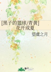 [黑子的篮球/青黄]花开成夏