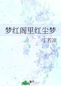 《梦红阁里红尘梦》