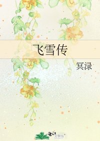 飞雪传