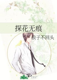 《探花无痕》