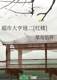 （红楼梦同人）超市大亨琏二[红楼]