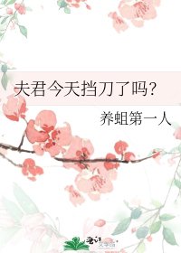 《夫君今天挡刀了吗?》