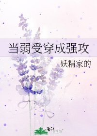 当弱受穿成强攻