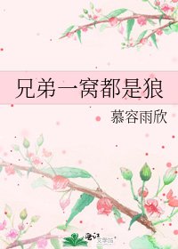 《兄弟一窝都是狼》