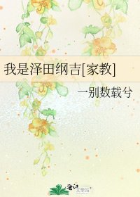 我是泽田纲吉[家教]