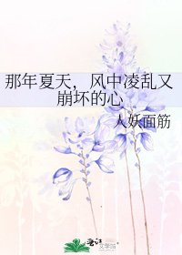 《那年夏天,风中凌乱又崩坏的心》