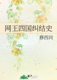 《网王四国纠结史》
