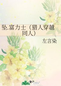 《坠.富力士(猎人穿越同人)》