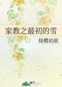 家教之最初的雪