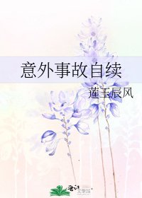 《意外事故自续》