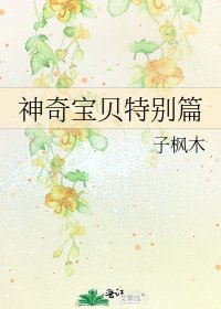 神奇宝贝特别篇