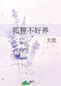 狐狸不好养