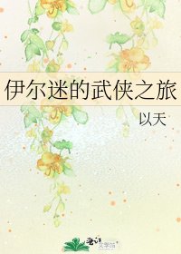 《伊尔迷的武侠之旅》