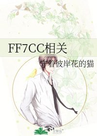 《FF7CC相关》