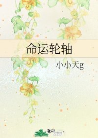 《命运轮轴》