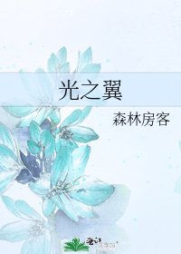 《光之翼》