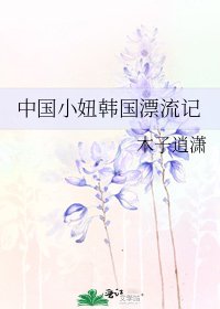 中国小妞韩国漂流记