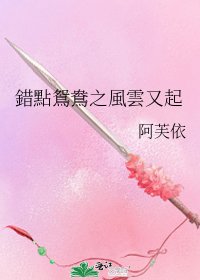錯點鴛鴦之風雲又起