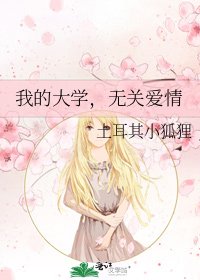 我的大学，无关爱情