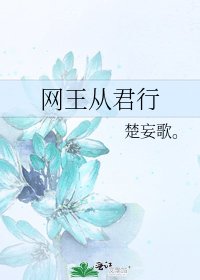 网王从君行