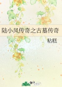 《陆小凤传奇之古墓传奇》