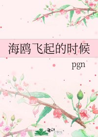 《海鸥飞起的时候》