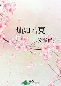 灿如若夏
