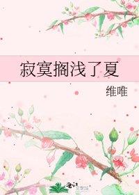 寂寞搁浅了夏