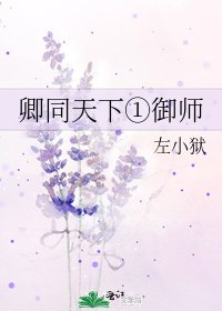 《卿同天下①御师》