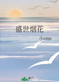 《盛世烟花》