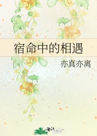 《宿命中的相遇》
