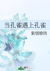 当孔雀遇上孔雀