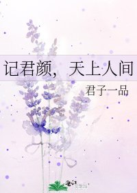 记君颜，天上人间