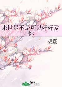 《来世是不是可以好好爱你》