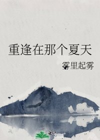 《重逢在那个夏天》