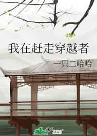 《我在赶走穿越者》