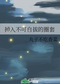 《掉入不可自拔的圈陶》